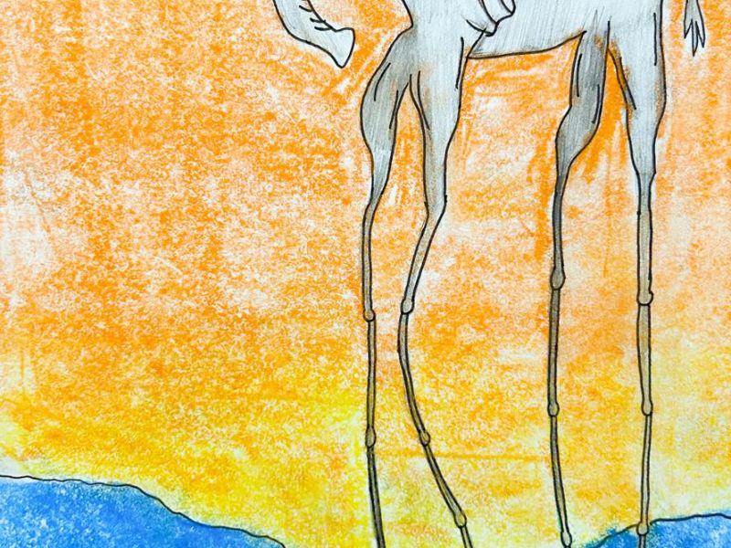 Lachlan Stevenson St Joseph's Kerang Year 4      Salvador Dali Inspired Elephant     Chalk Pastel, Coloured Pencil, Fine Liner, Greylead
