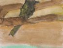 Sophia Mallari St Kilian's Bendigo Year 5      Yellow Honeyeater     Greylead, Paper, Watercolour