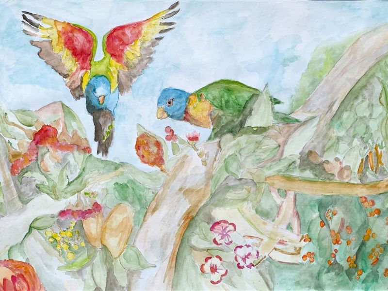 Eliza Cowen Notre Dame College Shepparton Year 7      Rainforest     Paper, Watercolour