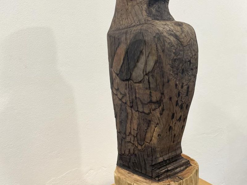 Declan Moloney Galen Catholic College Wangaratta Year 12      The Raven     Wood      The Raven is an art piece is a wooden sculpture made from a Eucalyptus melliodora log also known as yellow box, the theme is that a raven symbolism death while some euca
