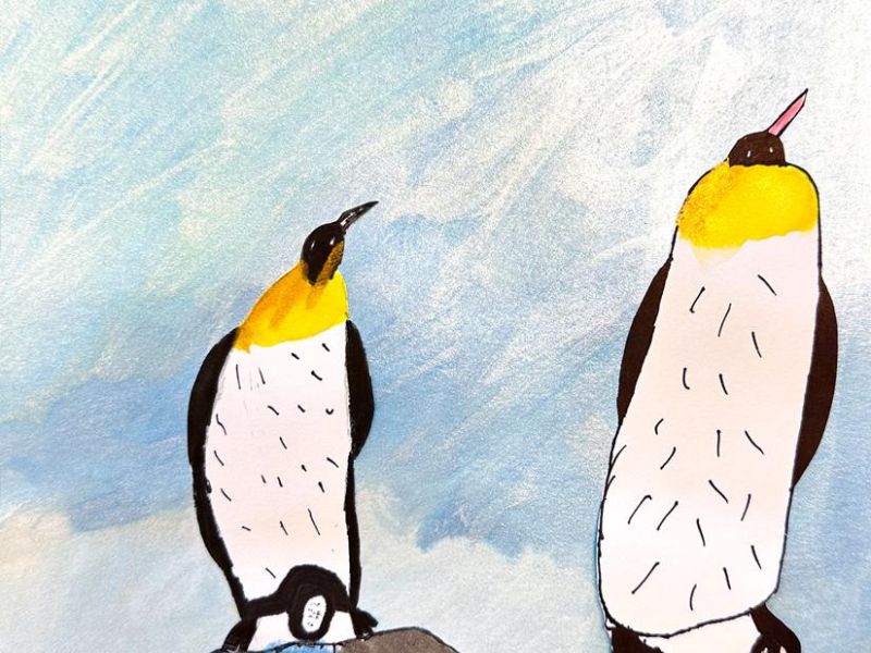 Kyden Colotti St Augustine's Wodonga Year 3      Penguin Care     Fine Liner, Marker, Paper, Watercolour      Penguins defend their egg at all costs. They huddle together in big groups to help each other and the babies know the caring voice of their paren