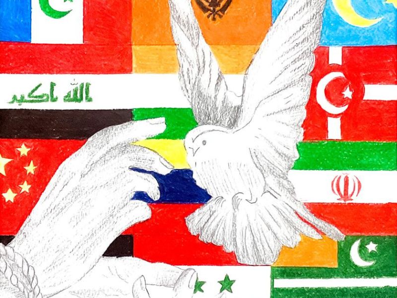 Hina Batool St Anne's College Kialla Year 9      Save us please     Greylead, Paper, Pencil      My artwork has a pair of hands tied up in a rope and it's reaching out for a pigeon. The background is a bunch of flags in color. The hands and bird are both 