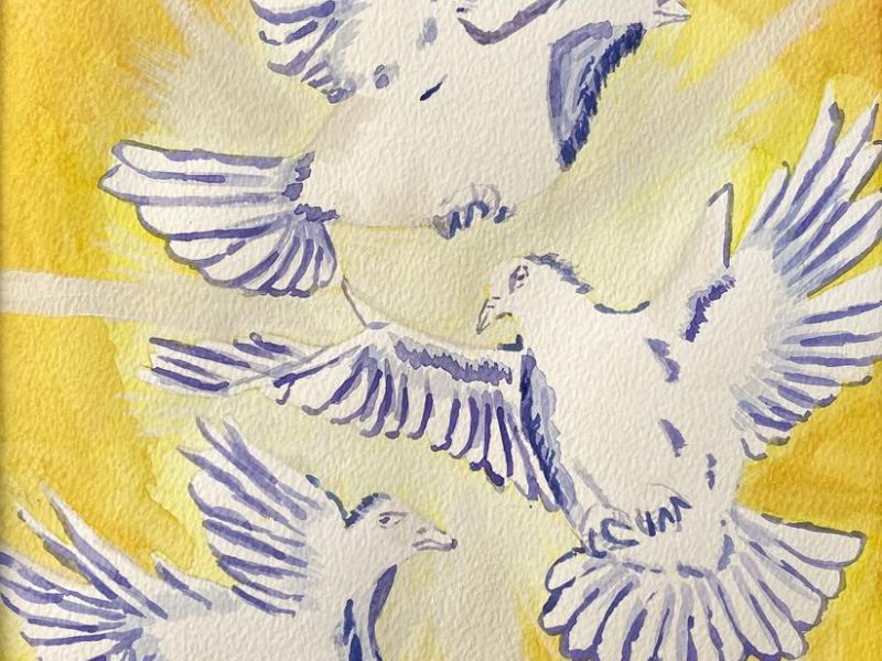 Lillian Richardson St Anne's College Kialla Year 9      The Language of Doves     Paper, Watercolour      The piece depicts three doves, symbolising purity, peace, and communication. Through subtle hues of contrasting colours such as orange and yellow, an
