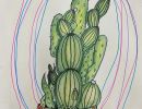 Chassandra Bantuyan St Monica's Wodonga Year 5      Cactus     Texta, Pencil
