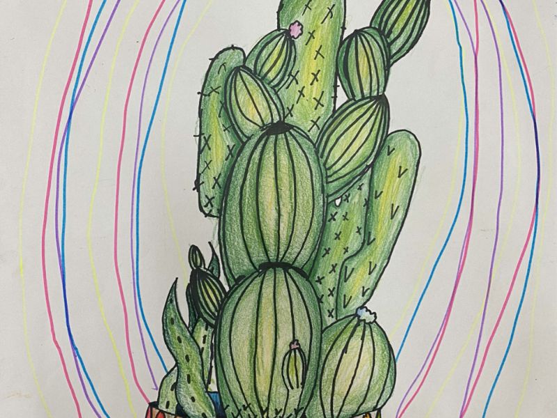 Chassandra Bantuyan St Monica's Wodonga Year 5      Cactus     Texta, Pencil