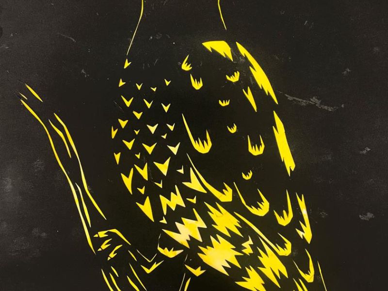 Matilda Aggenbach Galen Catholic College Wangaratta Year 11      Totem Project     Paper, Soft Pastel      The following piece is a stencil piece, of the outline of the bird “The Regent Honeyeater”. The concept was originally Inspired by the Indigenous ar