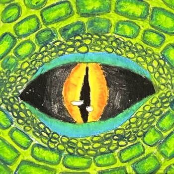 g oliver wallis re 1481