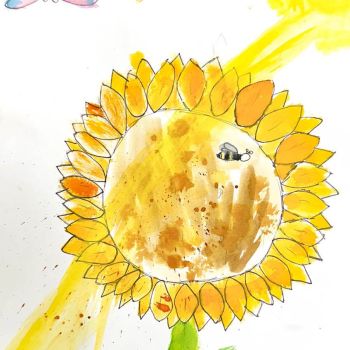 g amelia ackroyd re 1498