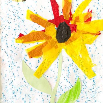 Reece Cowan Our Lady of the Sacred Heart Elmore Year 1      Sunflower     Oil Pastel, Paper