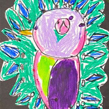 Ivy Kay St Mary's Rutherglen Year 2      The Queen Peacock     Oil Pastel, Texta, Paint Sticks
